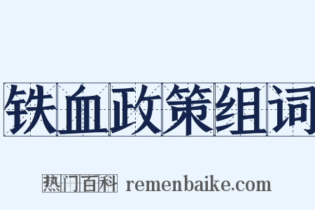 铁血政策组词是什么意思的图片